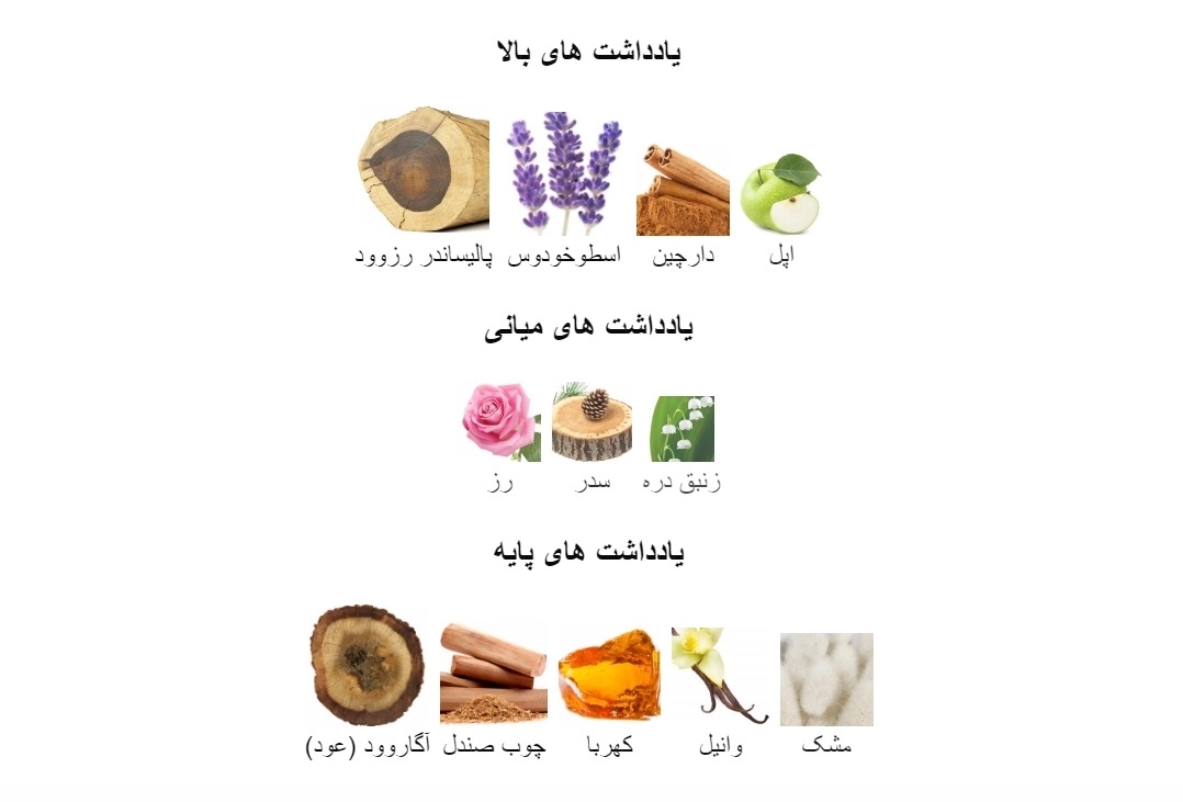 ادکلن متانویا باکارات رژ 540