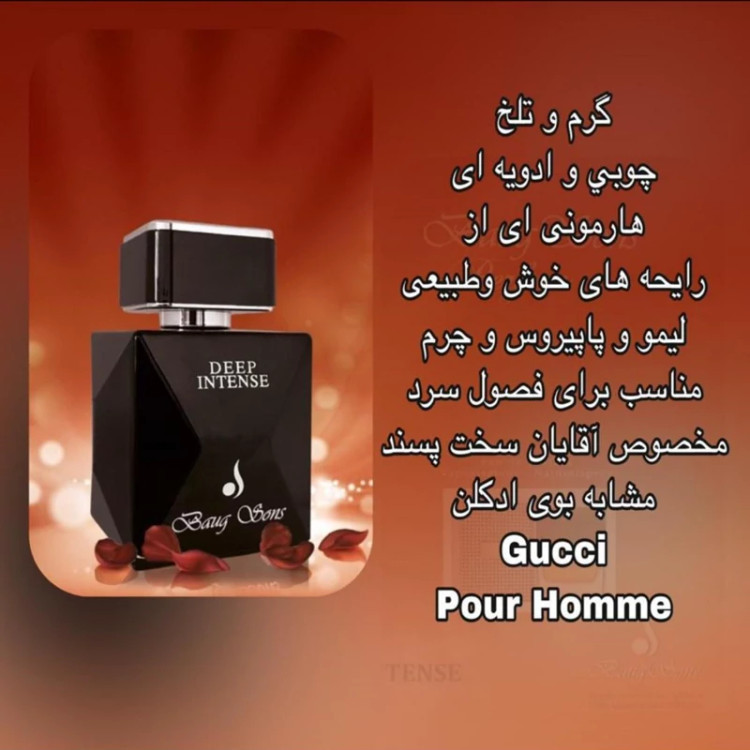 ادکلن باگ سونز دیپ اینتنس مردانه Deep intense حجم 100 میلی لیتر